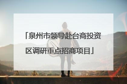 泉州市领导赴台商投资区调研重点招商项目