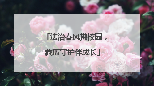 法治春风拂校园，藏蓝守护伴成长
