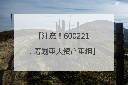 注意！600221，筹划重大资产重组