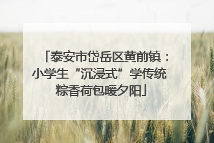 泰安市岱岳区黄前镇：小学生“沉浸式”学传统 粽香荷包暖夕阳