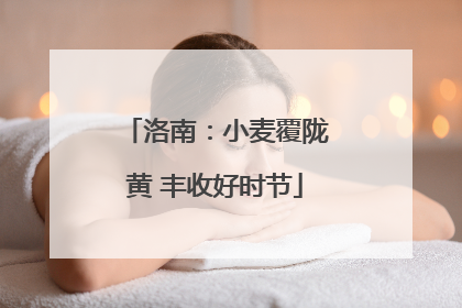 洛南：小麦覆陇黄 丰收好时节