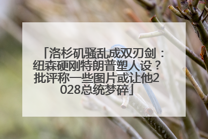 洛杉矶骚乱成双刃剑：纽森硬刚特朗普塑人设？批评称一些图片或让他2028总统梦碎