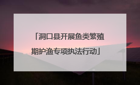 洞口县开展鱼类繁殖期护渔专项执法行动