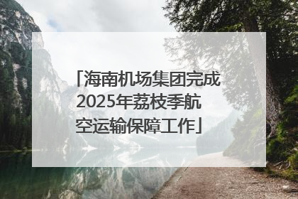 海南机场集团完成2025年荔枝季航空运输保障工作