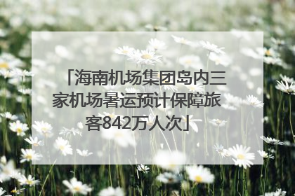 海南机场集团岛内三家机场暑运预计保障旅客842万人次