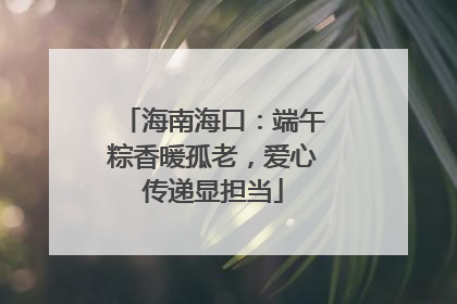 海南海口：端午粽香暖孤老，爱心传递显担当