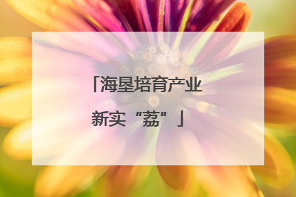 海垦培育产业新实“荔”