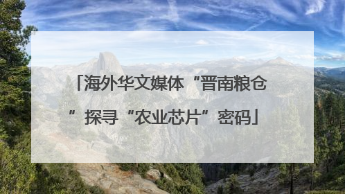 海外华文媒体“晋南粮仓”探寻“农业芯片”密码