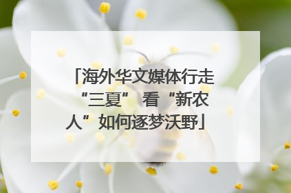 海外华文媒体行走“三夏” 看“新农人”如何逐梦沃野