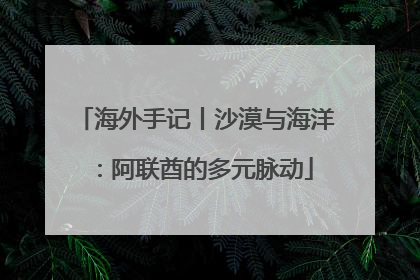 海外手记丨沙漠与海洋：阿联酋的多元脉动