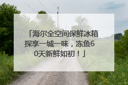 海尔全空间保鲜冰箱探享一城一味，冻鱼60天新鲜如初！