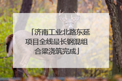 济南工业北路东延项目全线最长钢混组合梁浇筑完成