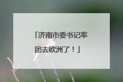 济南市委书记率团去欧洲了！