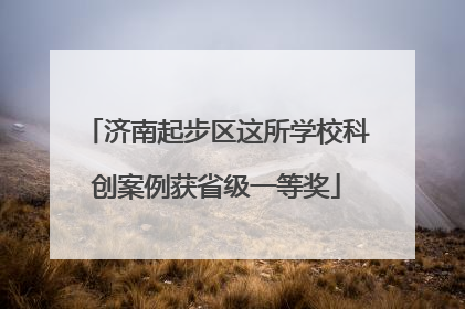 济南起步区这所学校科创案例获省级一等奖