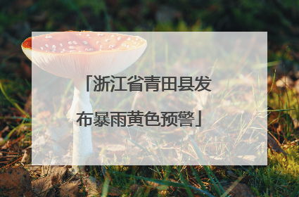 浙江省青田县发布暴雨黄色预警