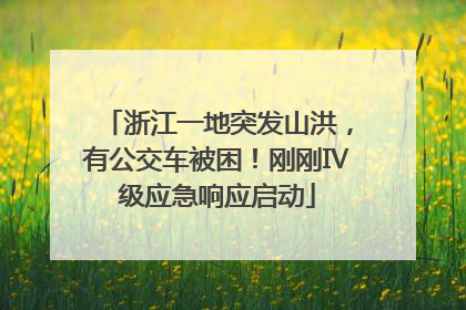 浙江一地突发山洪，有公交车被困！刚刚Ⅳ级应急响应启动