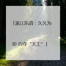 浙江乐清：久久为功 巧夺“天工”