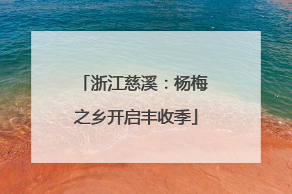 浙江慈溪：杨梅之乡开启丰收季