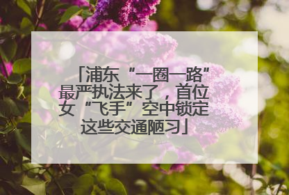 浦东“一圈一路”最严执法来了，首位女“飞手”空中锁定这些交通陋习