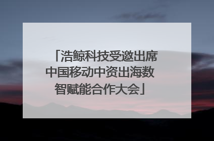 浩鲸科技受邀出席中国移动中资出海数智赋能合作大会