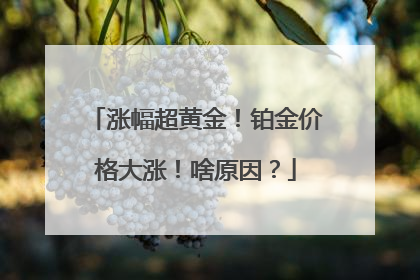 涨幅超黄金！铂金价格大涨！啥原因？