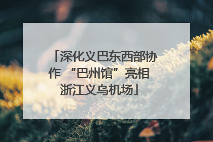 深化义巴东西部协作 “巴州馆”亮相浙江义乌机场