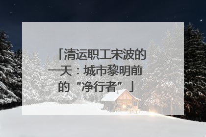 清运职工宋波的一天：城市黎明前的“净行者”