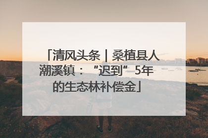 清风头条｜桑植县人潮溪镇：“迟到”5年的生态林补偿金