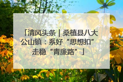 清风头条｜桑植县八大公山镇：系好“思想扣” 走稳“青廉路”