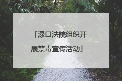 渌口法院组织开展禁毒宣传活动