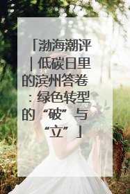 渤海潮评｜低碳日里的滨州答卷：绿色转型的“破”与“立”