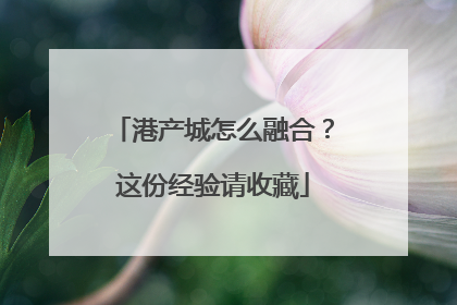 港产城怎么融合？这份经验请收藏