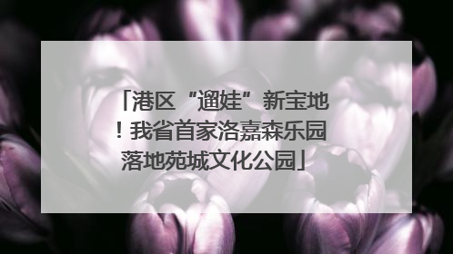 港区“遛娃”新宝地！我省首家洛嘉森乐园落地苑城文化公园