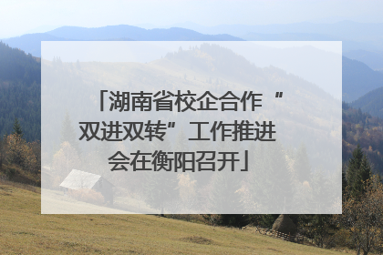 湖南省校企合作“双进双转”工作推进会在衡阳召开