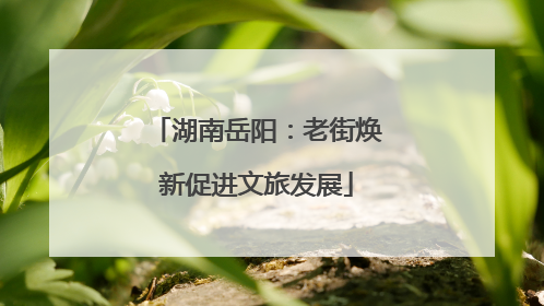 湖南岳阳：老街焕新促进文旅发展