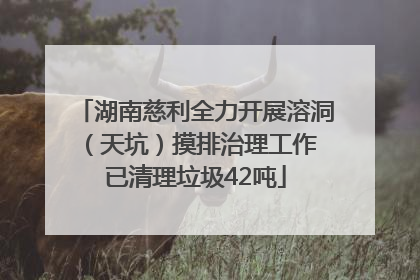 湖南慈利全力开展溶洞（天坑）摸排治理工作 已清理垃圾42吨