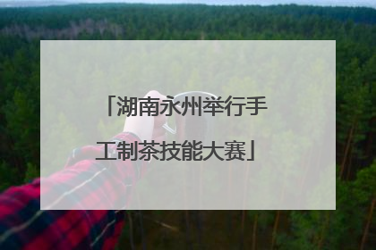 湖南永州举行手工制茶技能大赛