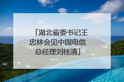 湖北省委书记王忠林会见中国电信总经理刘桂清