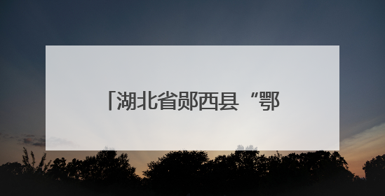 湖北省郧西县“鄂陕龙舟竞汉江” 传统民俗引热潮