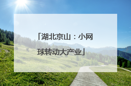 湖北京山：小网球转动大产业