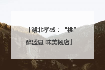 湖北孝感：“桃”醉盛夏 味美杨店