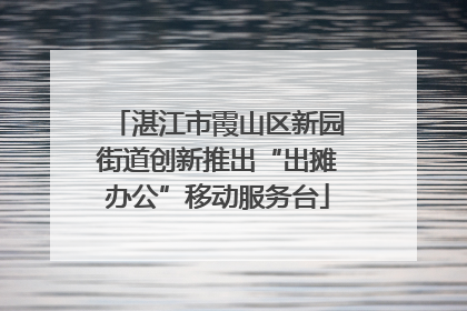 湛江市霞山区新园街道创新推出“出摊办公”移动服务台