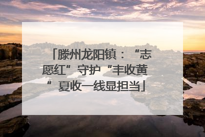 滕州龙阳镇：“志愿红”守护“丰收黄”夏收一线显担当