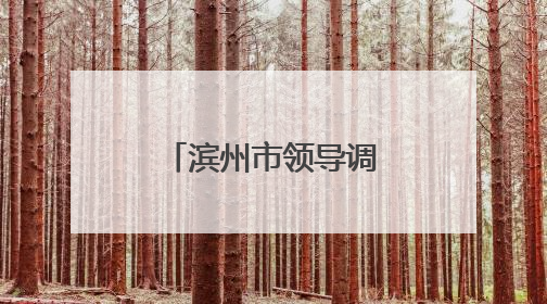滨州市领导调研市特种设备检验研究院