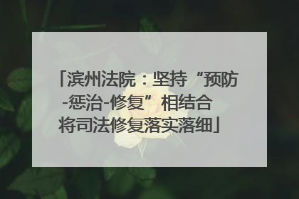 滨州法院：坚持“预防-惩治-修复”相结合 将司法修复落实落细