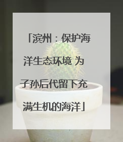 滨州：保护海洋生态环境 为子孙后代留下充满生机的海洋