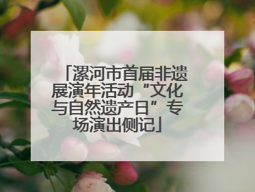 漯河市首届非遗展演年活动“文化与自然遗产日”专场演出侧记