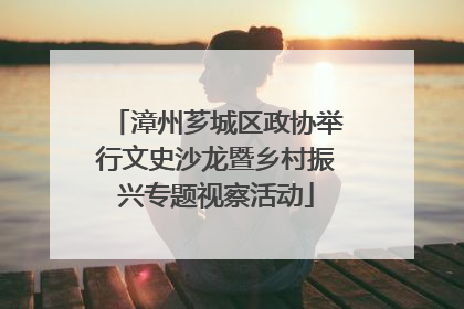 漳州芗城区政协举行文史沙龙暨乡村振兴专题视察活动