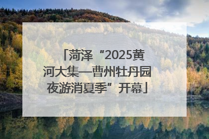菏泽“2025黄河大集—曹州牡丹园夜游消夏季”开幕