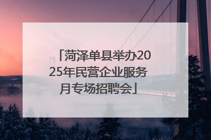 菏泽单县举办2025年民营企业服务月专场招聘会